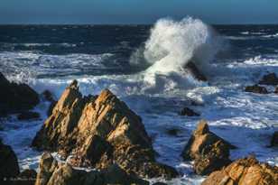 Wave on 17 Mile Drive-0160